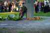 imgp0065_small.jpg