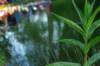 imgp0090_small.jpg