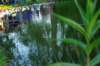 imgp0091_small.jpg