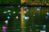 imgp0133_small.jpg