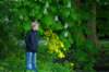 imgp0134_small.jpg