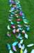 imgp0215_small.jpg