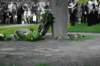 imgp0240_small.jpg