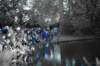 imgp0243_small.jpg