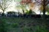 imgp0247_small.jpg