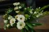 imgp9886_small.jpg
