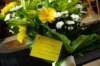 imgp9898_small.jpg