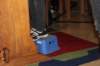img_2715_small.jpg