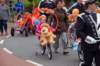 dsc_0047_small.jpg