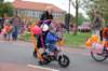dsc_0059_small.jpg