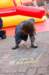 dsc_0196_small.jpg