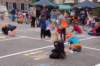 dsc_0197_small.jpg