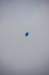dsc_0262_small.jpg
