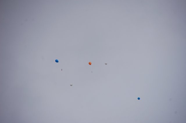 dsc_0264.jpg
