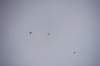 dsc_0264_small.jpg