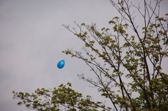 dsc_0265.jpg