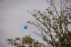 dsc_0265_small.jpg