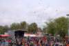 dsc_0272_small.jpg