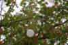 dsc_0275_small.jpg