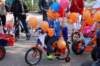 dsc_0015_small.jpg
