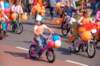 dsc_0031_small.jpg
