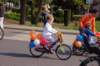 dsc_0038_small.jpg