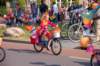 dsc_0047_small.jpg