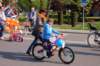 dsc_0050_small.jpg