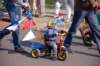 dsc_0054_small.jpg