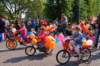 dsc_0071_small.jpg