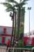 dsc_0176_small.jpg