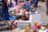 dsc_0231_small.jpg