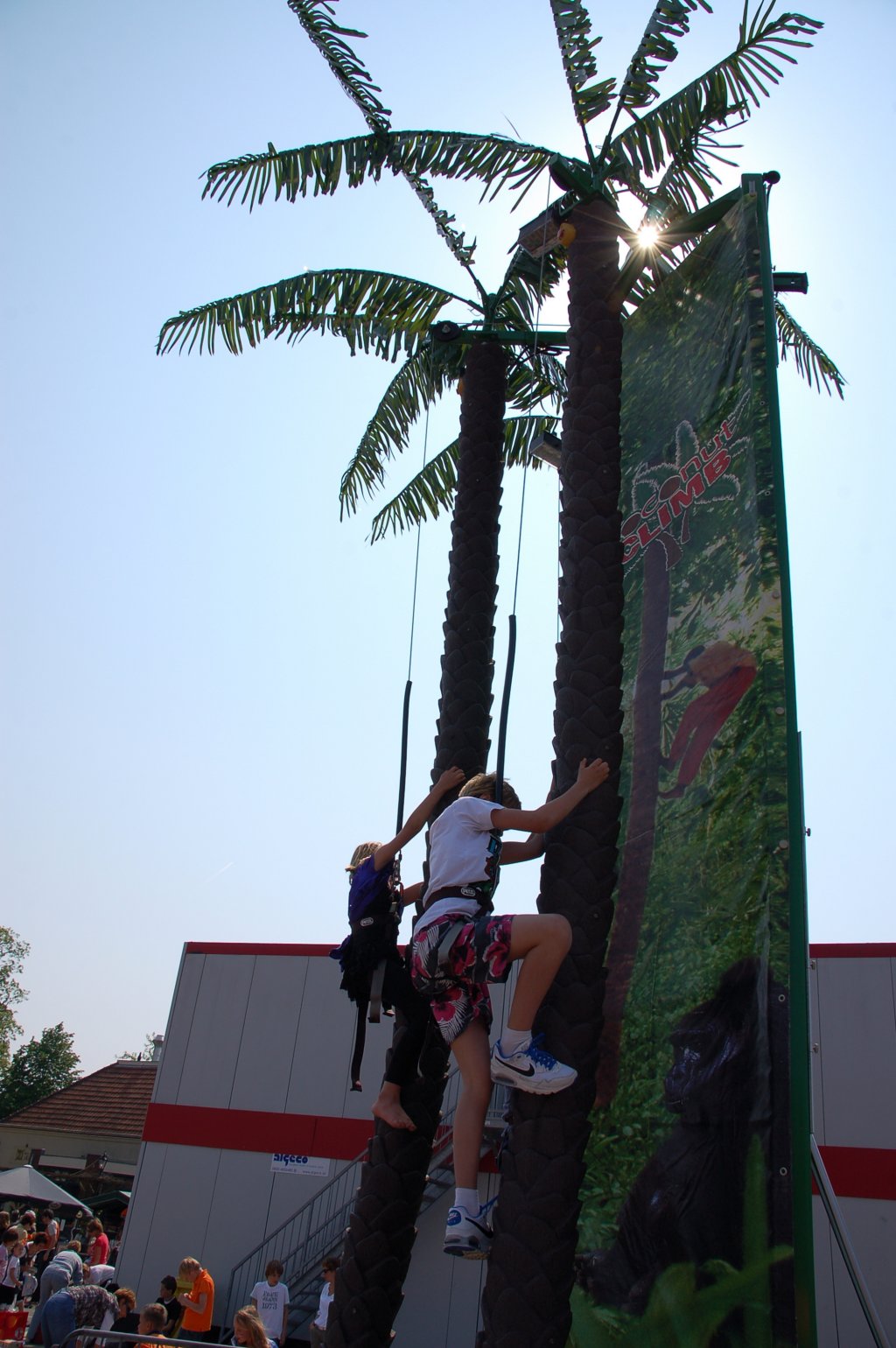 dsc_0234.jpg