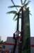 dsc_0234_small.jpg