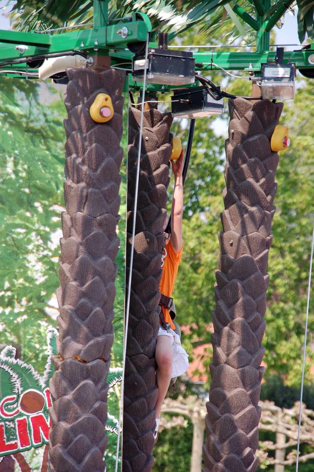 dsc_0250.jpg