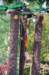 dsc_0250_small.jpg
