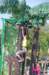 dsc_0259_small.jpg