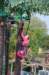 dsc_0260_small.jpg
