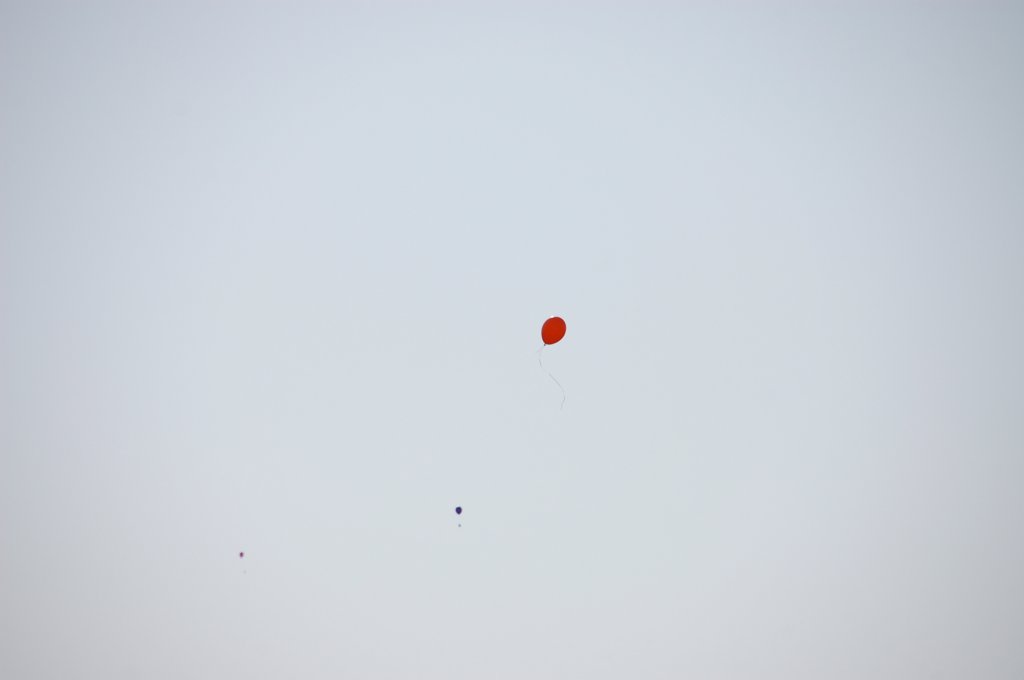 dsc_0291.jpg