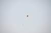 dsc_0291_small.jpg