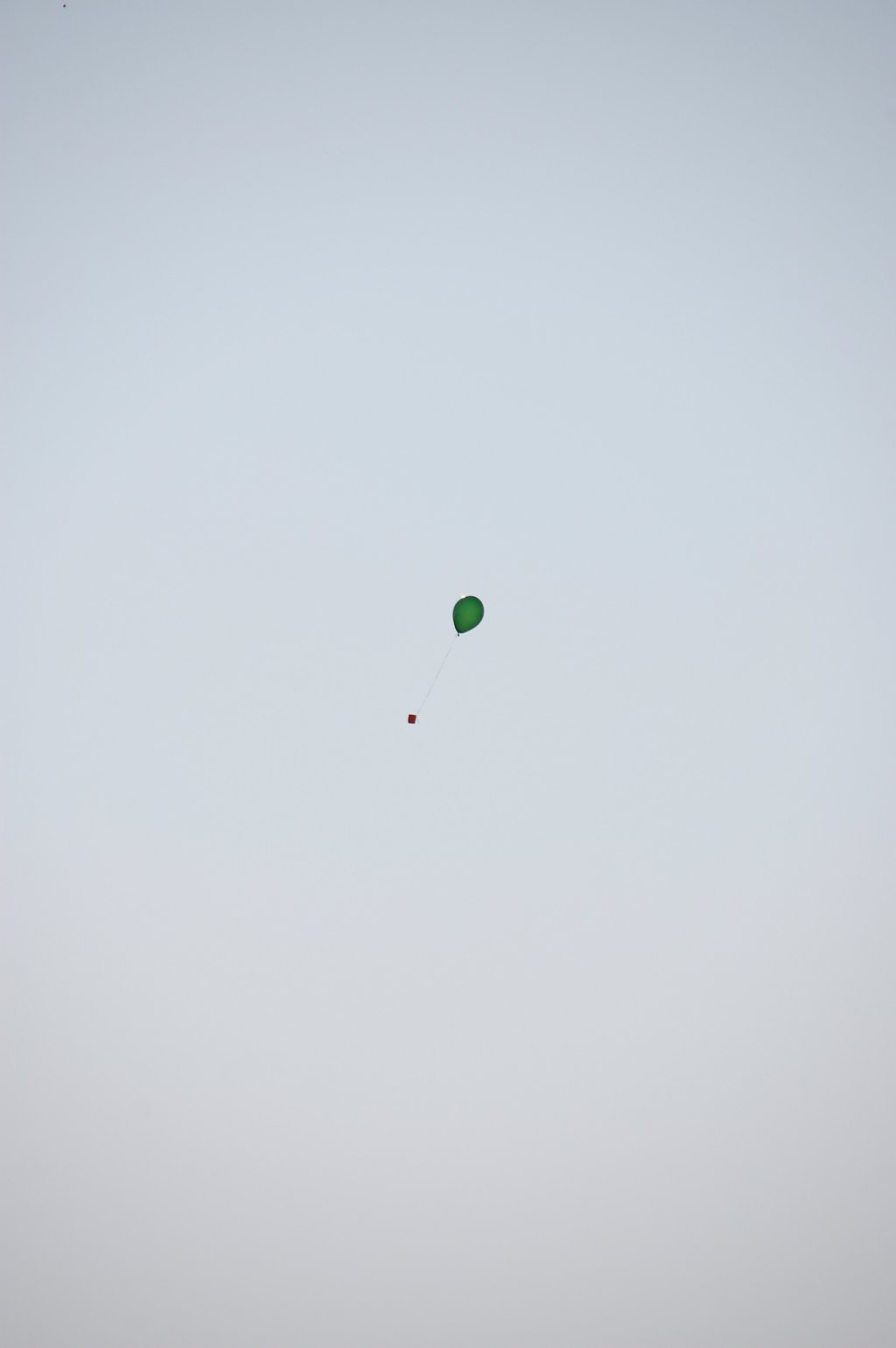 dsc_0293.jpg