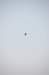 dsc_0293_small.jpg