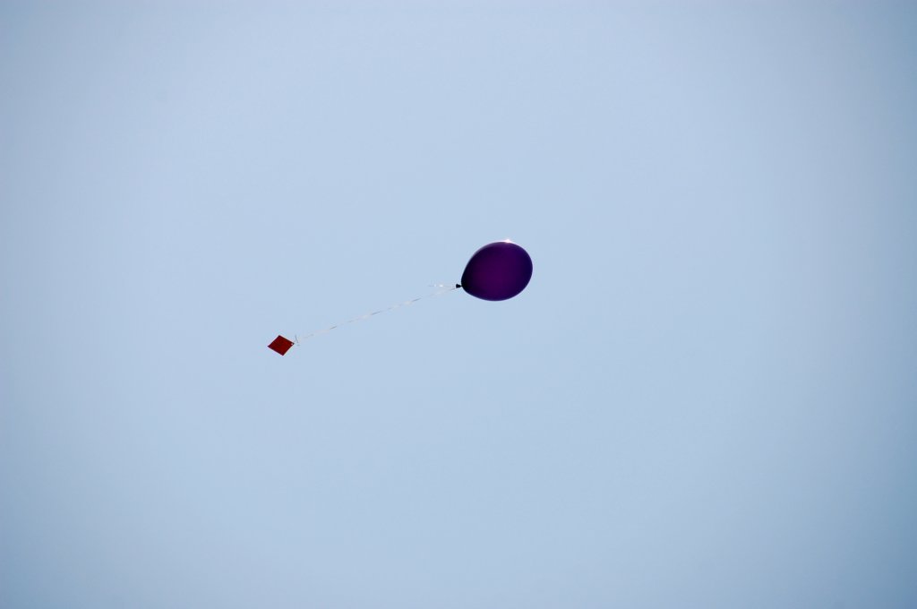 dsc_0295.jpg