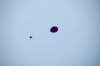 dsc_0295_small.jpg