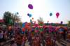 dsc_0307_small.jpg
