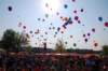 dsc_0309_small.jpg