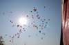 dsc_0312_small.jpg