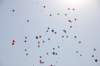 dsc_0315_small.jpg