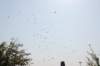 dsc_0318_small.jpg