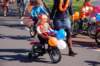 dsc_0185_small.jpg